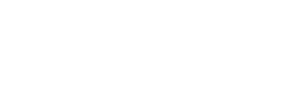 Aliserio - Aircraft maintenance since 1967